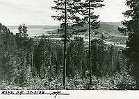 Drammen20254.tif