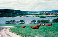 SIBS_0023580.jpg