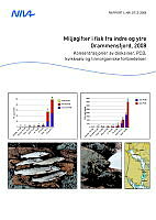 Miljøgifter i fisk 2008.pdf